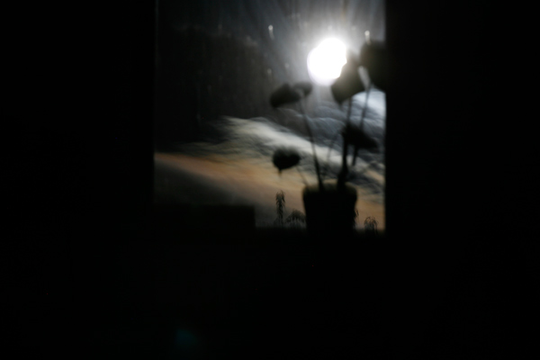 230 :: Sleepless